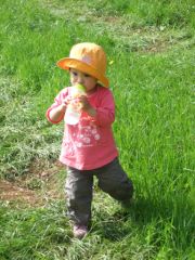 dscf6052.jpg