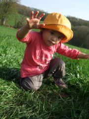 dscf6088.jpg