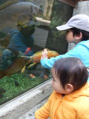 dscf6100.jpg