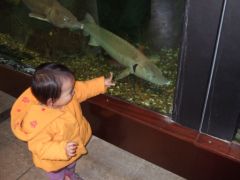 dscf6104.jpg