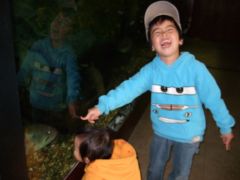 dscf6106.jpg