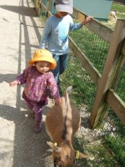 dscf6119.jpg