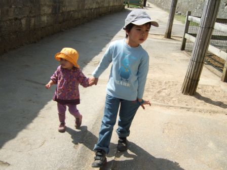 dscf6124.jpg