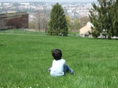 dscf6131.jpg