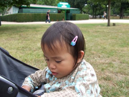 dscf6850.jpg