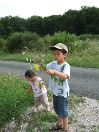 dscf6904.jpg