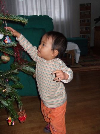 ysaline_decore_le_sapin.jpg